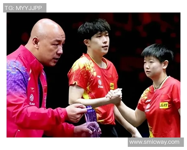 武汉乒乓球队的节奏与发展趋势深度解析及未来展望